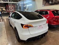 تێسلا مۆدێلی Y